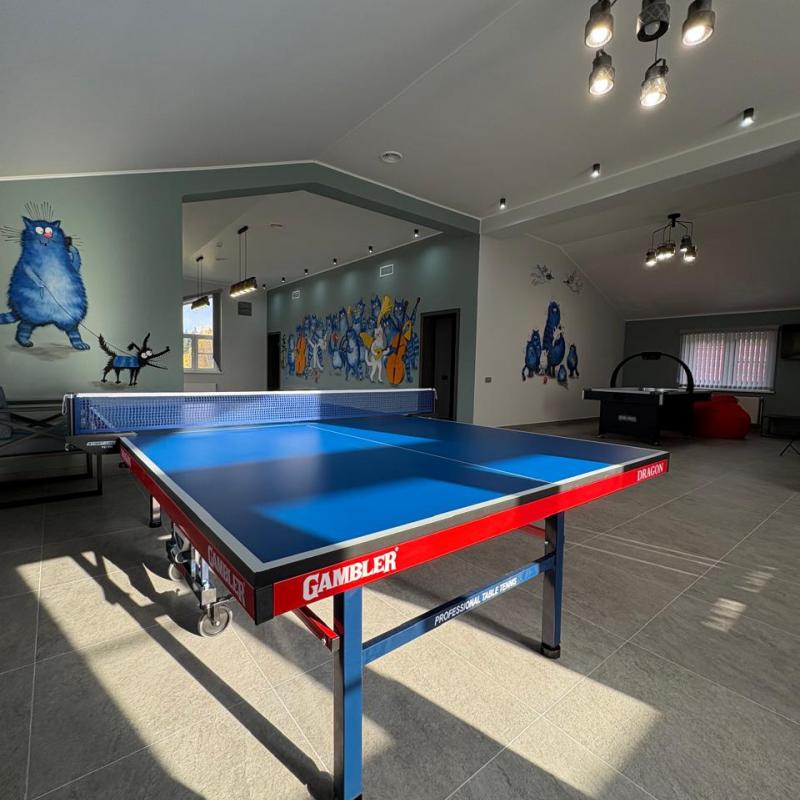 Настольный теннис