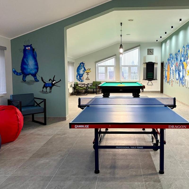 Настольный теннис